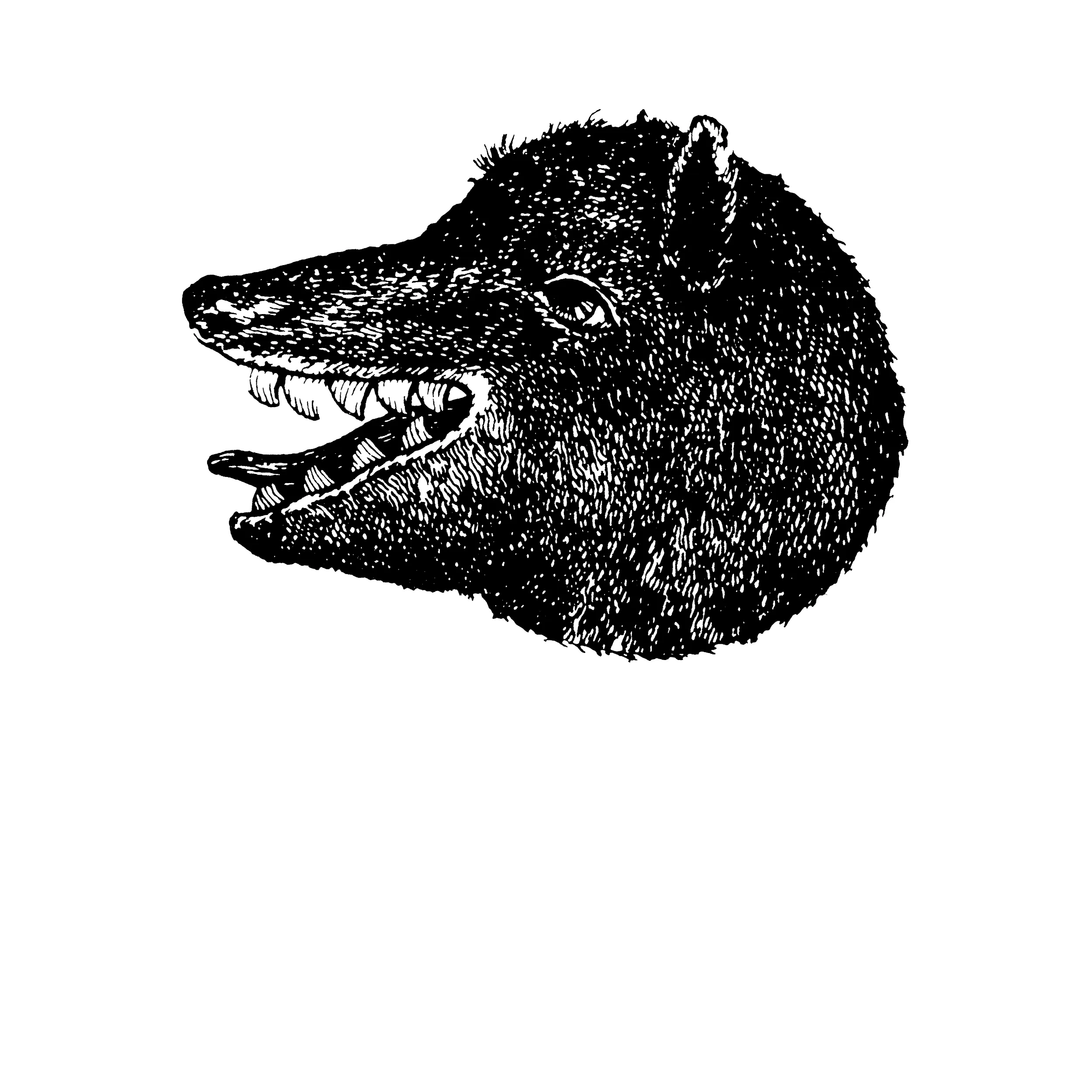Fat Wolf Head Classic Tee